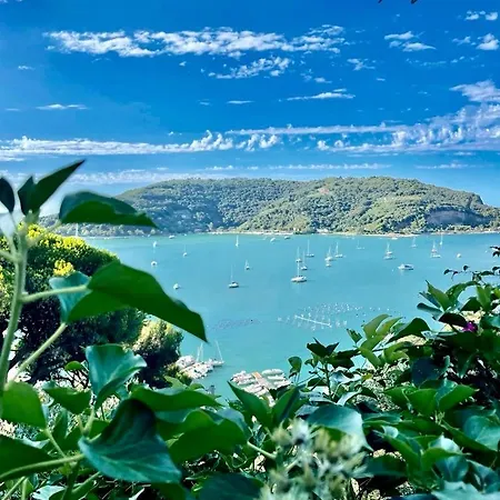 Pensionat Quiet Night 3*